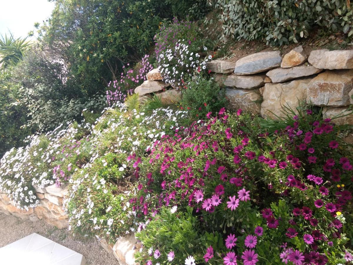 Studio Quietude Saint Aygulf Εξωτερικό φωτογραφία